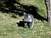 dscn2369.jpg